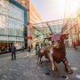 The Bull Bullring 721367007