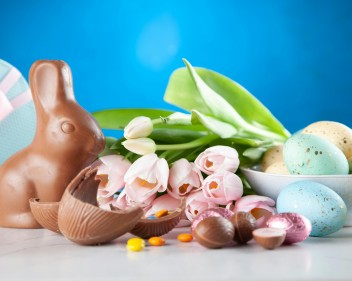 pexels george dolgikh 551816 2072163