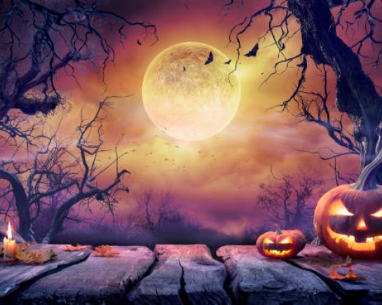 istockphoto 1427555254 612x612
