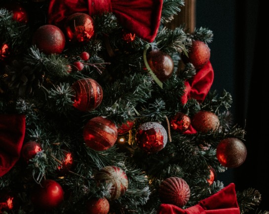 alsu vershinina 7omYUp2oFt4 unsplash