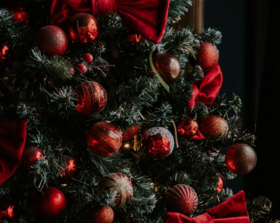 alsu vershinina 7omYUp2oFt4 unsplash