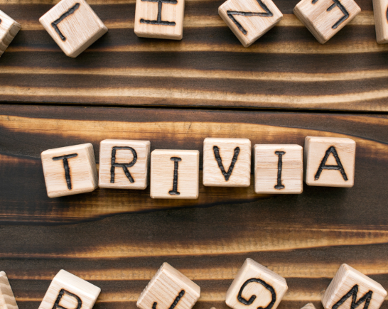 Untitled design (65)