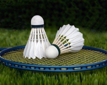 badminton the ultimate guide to the racquet sport 460186