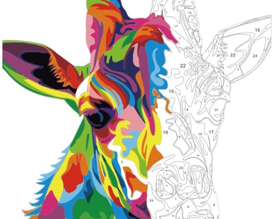 artistisu packaging box