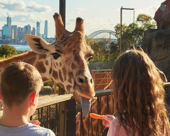 taronga zoo