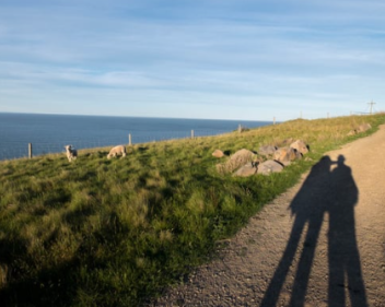 coastal walk