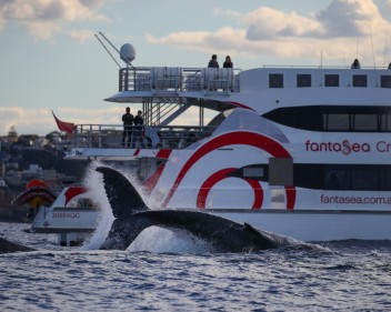 Fantasea