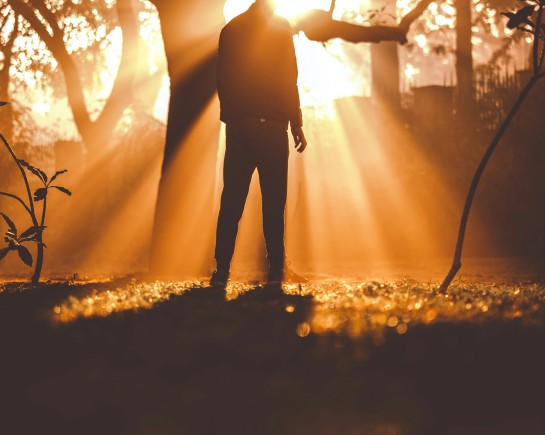 dewang gupta Mu3T3DmvQQw unsplash