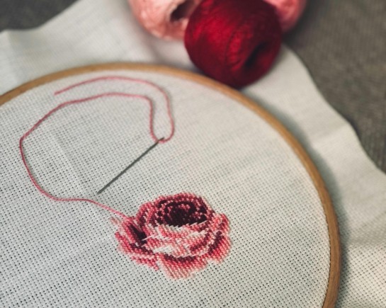 pexels busrasahjn 13631018