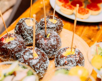 pexels kseniia lopyreva 3299160 4959897