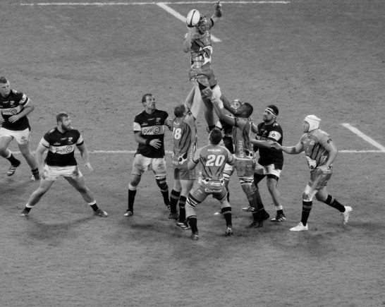 pexels kgotlas38 16817821