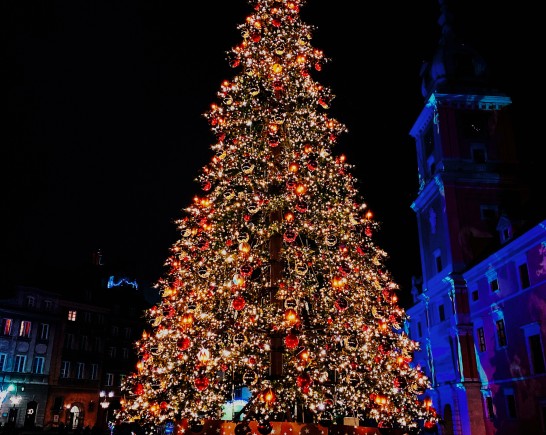 arkadiusz radek T6 Xy821ers unsplash