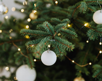 Untitled design (34)