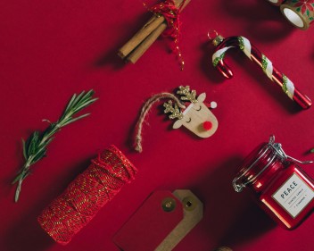 pexels leeloothefirst 5782703