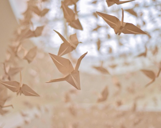 pexels pppsdavid 1631516