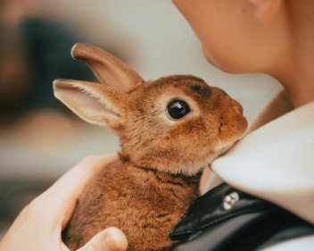 kevin lehtla 0M2fKhfvUpU unsplash