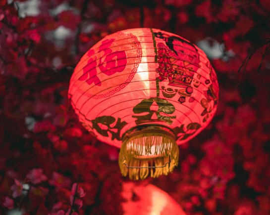 sahil pandita bsDlcGg9Nh4 unsplash