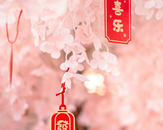 valeria reverdo jysqCWSTqHE unsplash