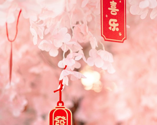 valeria reverdo jysqCWSTqHE unsplash