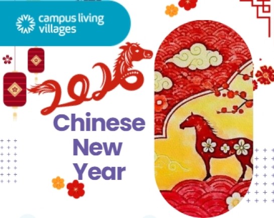 Screenshot 29 1 2026 15311 www.canva.com