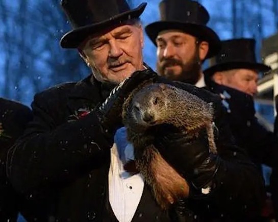 Groundhog Day Film Fest