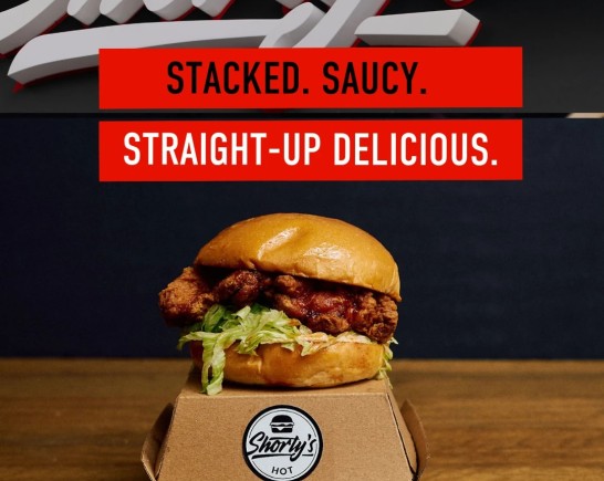 phosphor.utils.elfsightcdn