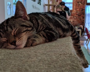 00000IMG 00000 BURST20190321115323829 COVER