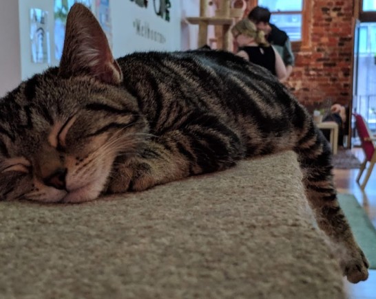 00000IMG 00000 BURST20190321115323829 COVER