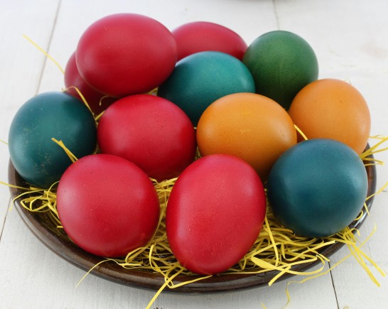 pexels boris manev 371032 998708