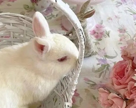 Easter Scavenger Hunt