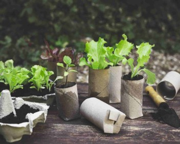 cardboard tube plant pots 1 1024x682