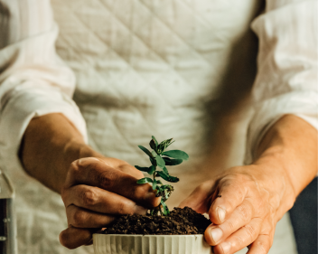 Untitled design (67)