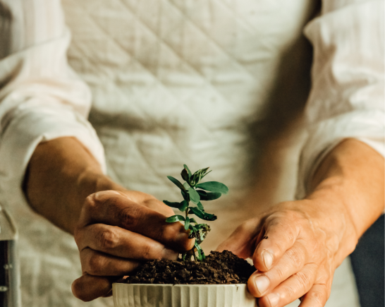 Untitled design (67)