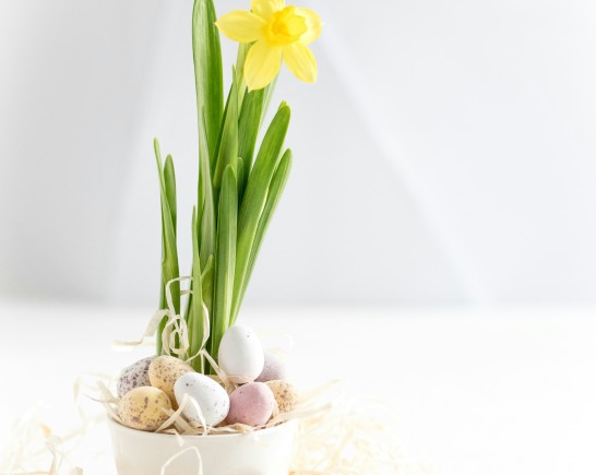 monika grabkowska WYr1bhT42hc unsplash