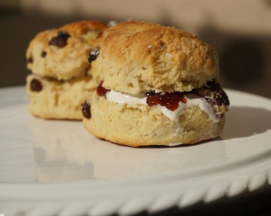 scone