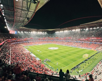 pexels heitor vitari 626359539 28866439