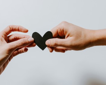 kelly sikkema 4le7k9XVYjE unsplash (1)