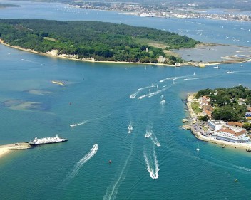 image (2)