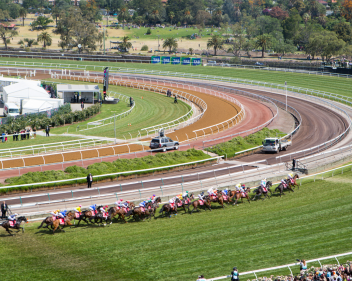 PTA Melbourne Cup