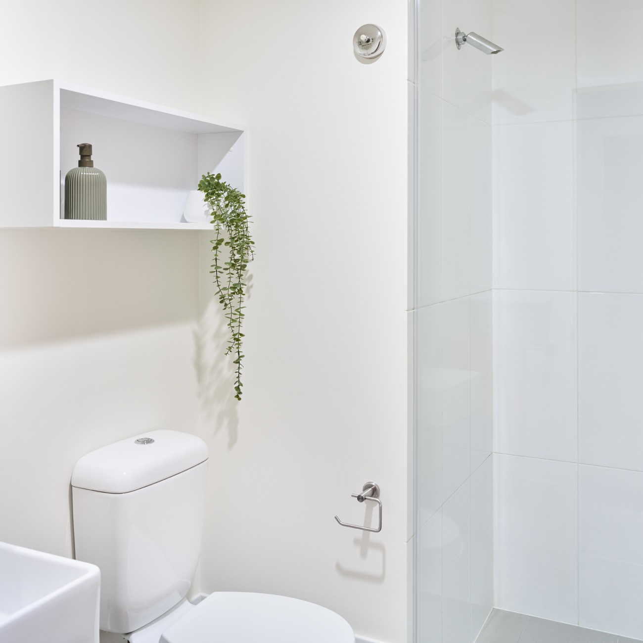 CLV Student Accomodation 4 Bedroom Apt Bathroom